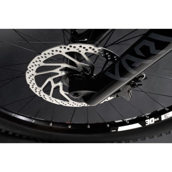 VTTAE Haibike ALLMTN CF 9 2022 – Image 6
